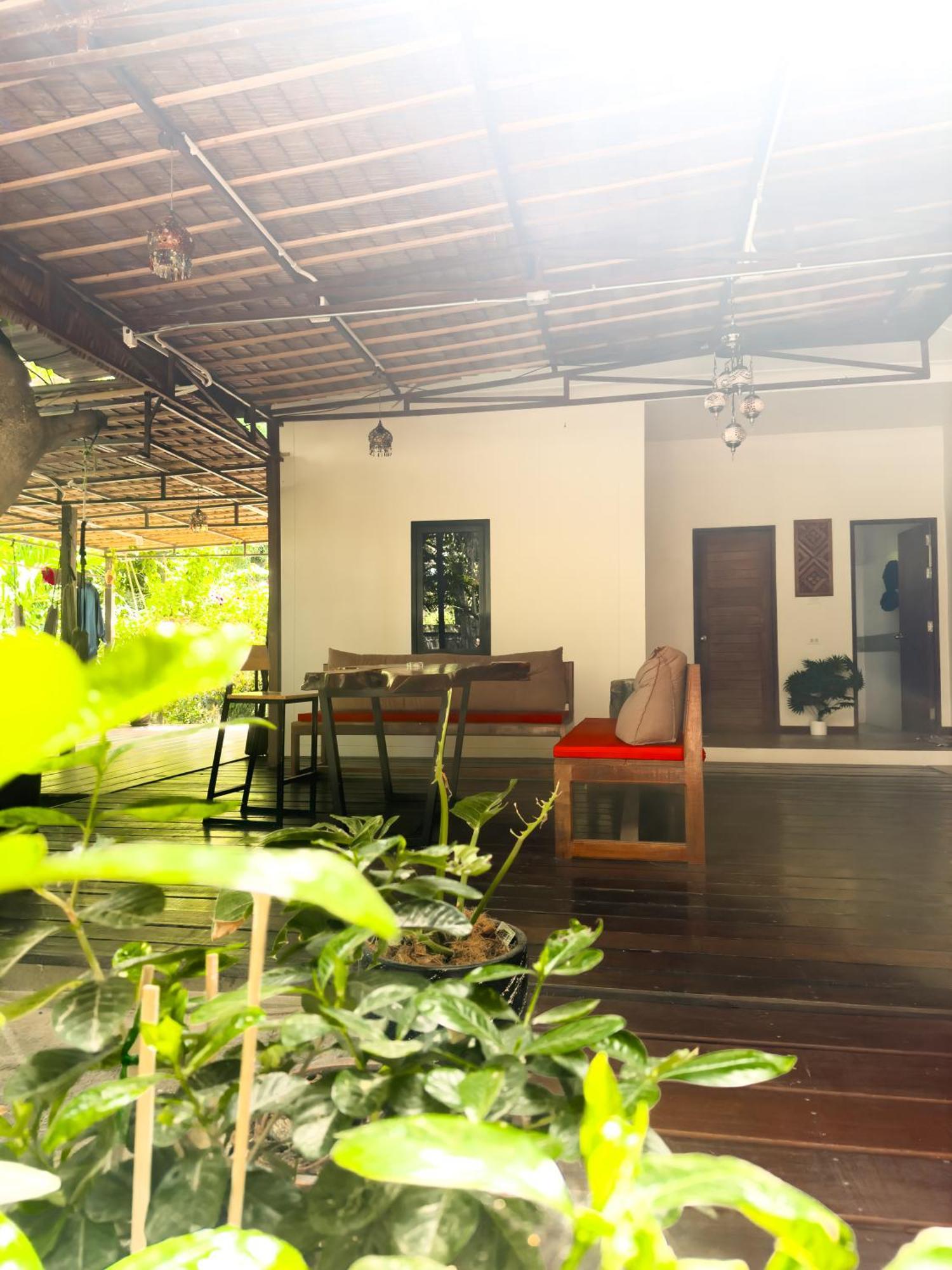 Hotel Jungle Vibes Thongsala Zewnętrze zdjęcie